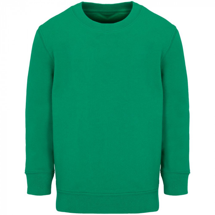 Свитшот детский Columbia Kids, ярко-зеленый, на рост 154-164