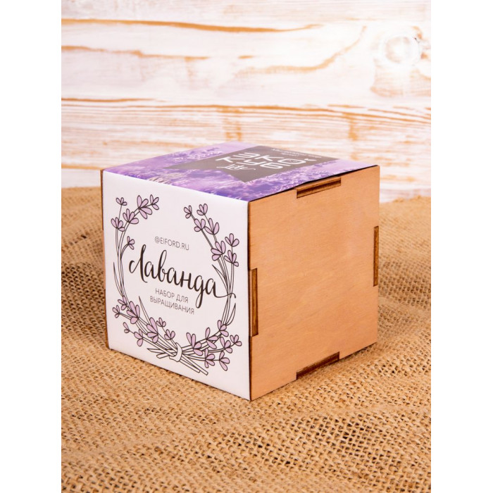 Набор для выращивания «Экокуб Lite», лаванда