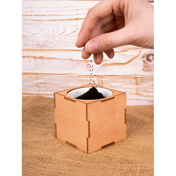 Набор для выращивания «Экокуб Lite», лаванда