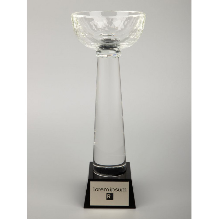 Кубок Cupture, большой