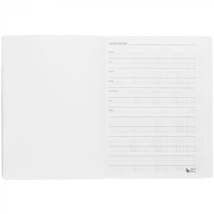 Еженедельник Lucky, недатированный, серый