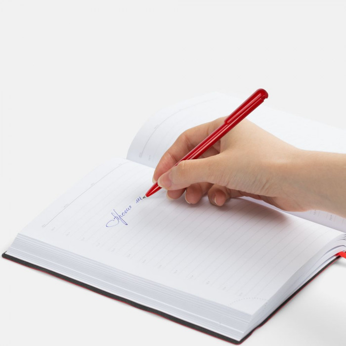 Ручка шариковая Penpal, красная