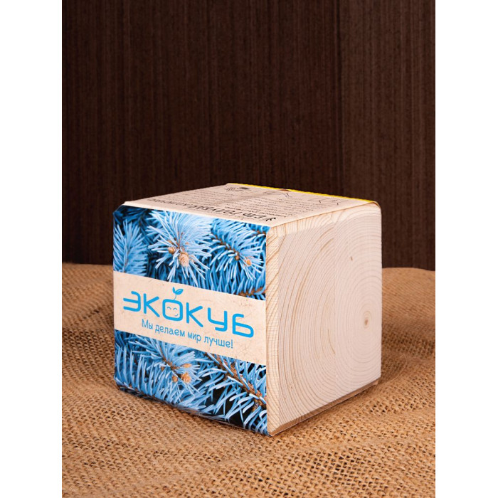 Набор для выращивания «Экокуб», ель голубая