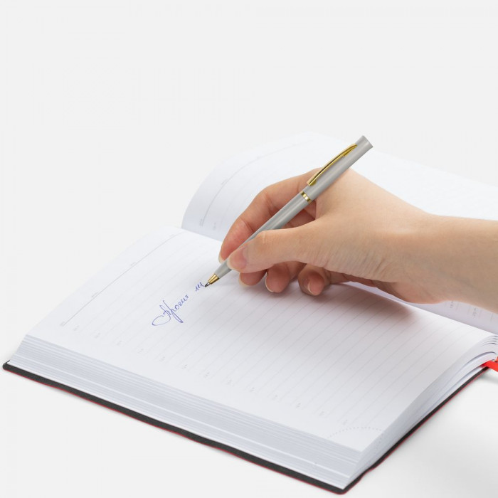 Ручка шариковая Euro Gold, серая