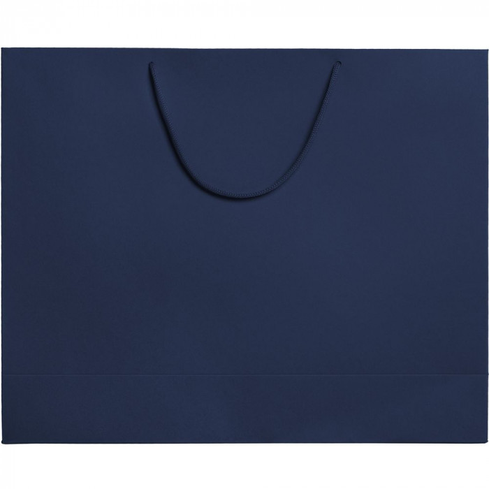 Пакет бумажный Ample Plus L, синий