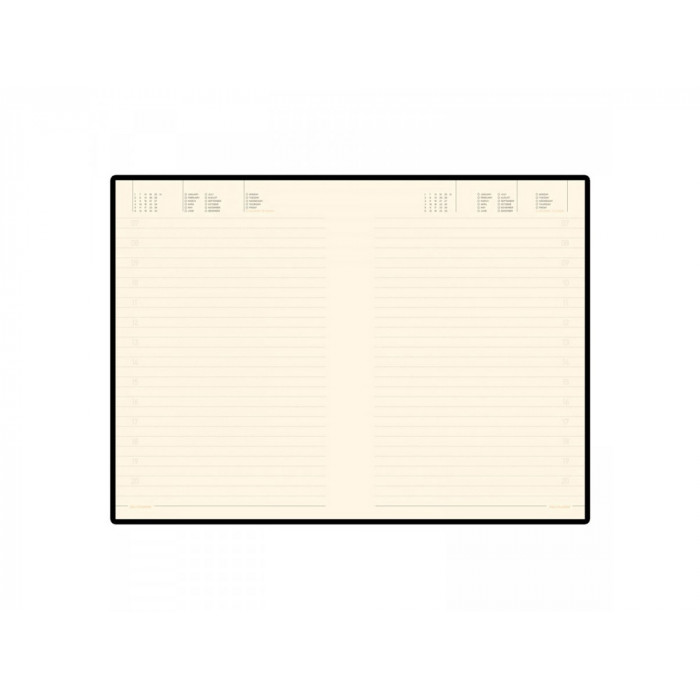 Ежедневник недатированный B5 Tintoretto New, бордовый