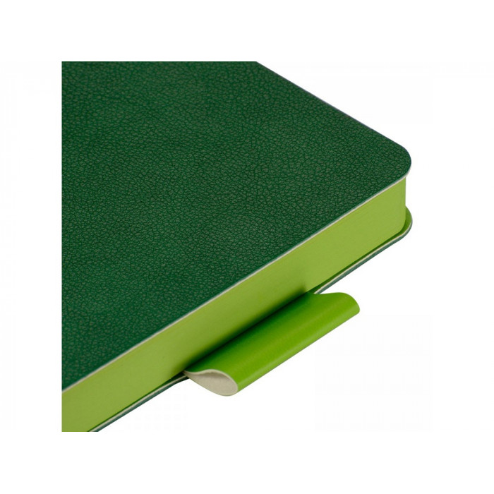 Ежедневник недатированный А5 Boston, зеленый