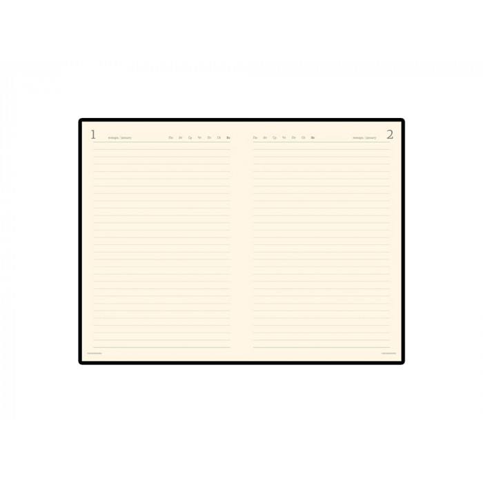 Ежедневник полудатированный портфолио А5  PROFY синий