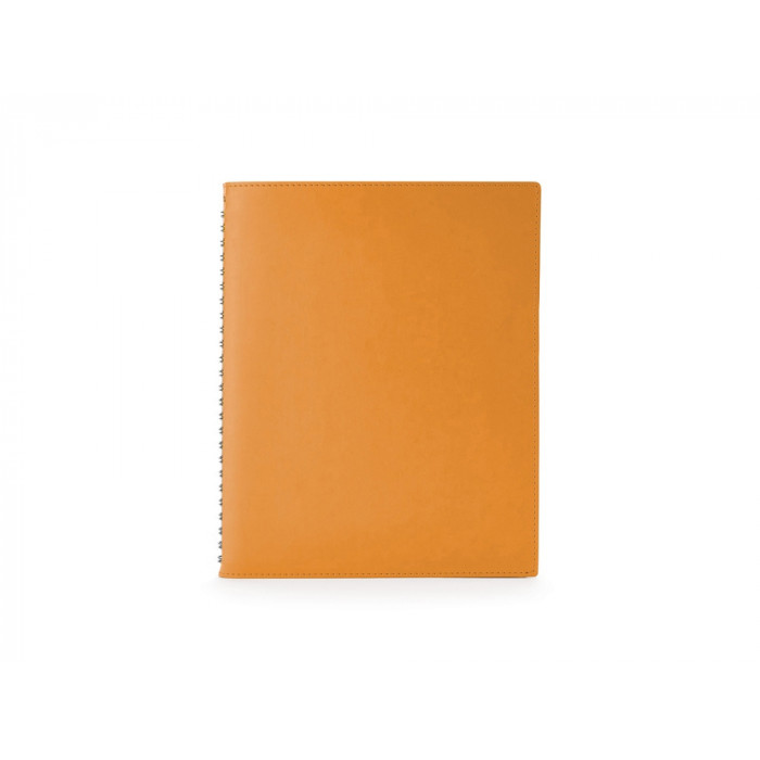 Ежедневник недатированный B5 Tintoretto New, оранжевый