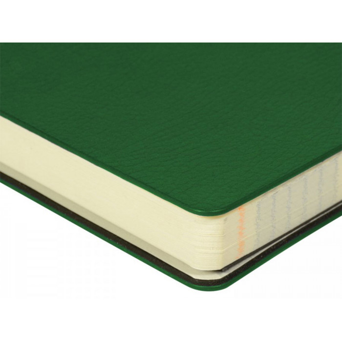 Ежедневник недатированный А5 Megapolis flex smart, зеленый