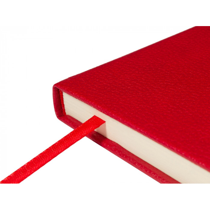 Ежедневник недатированный А5 Loft, красный