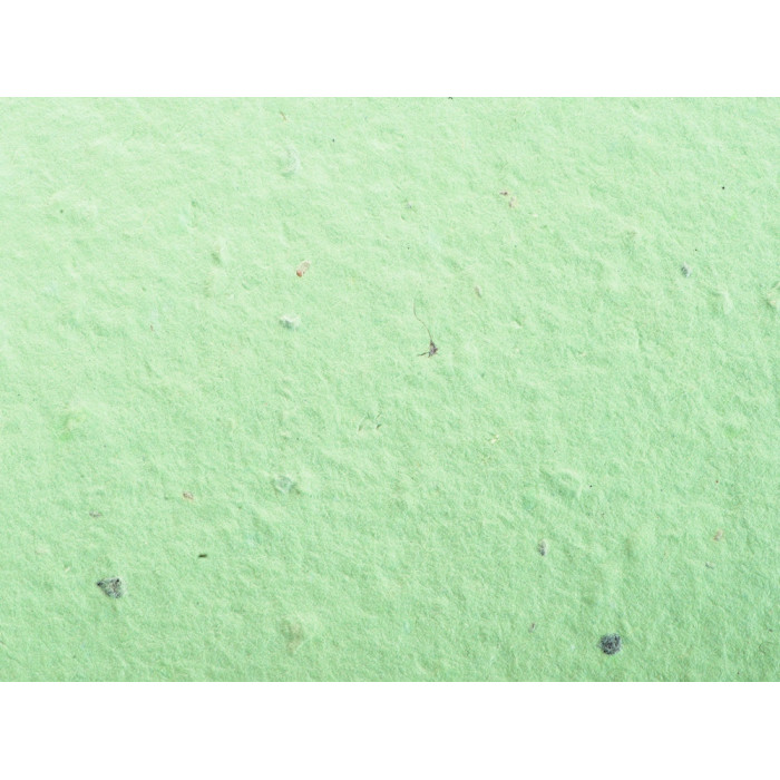 Живой блокнот с семенами цветов, А6, зеленое яблоко