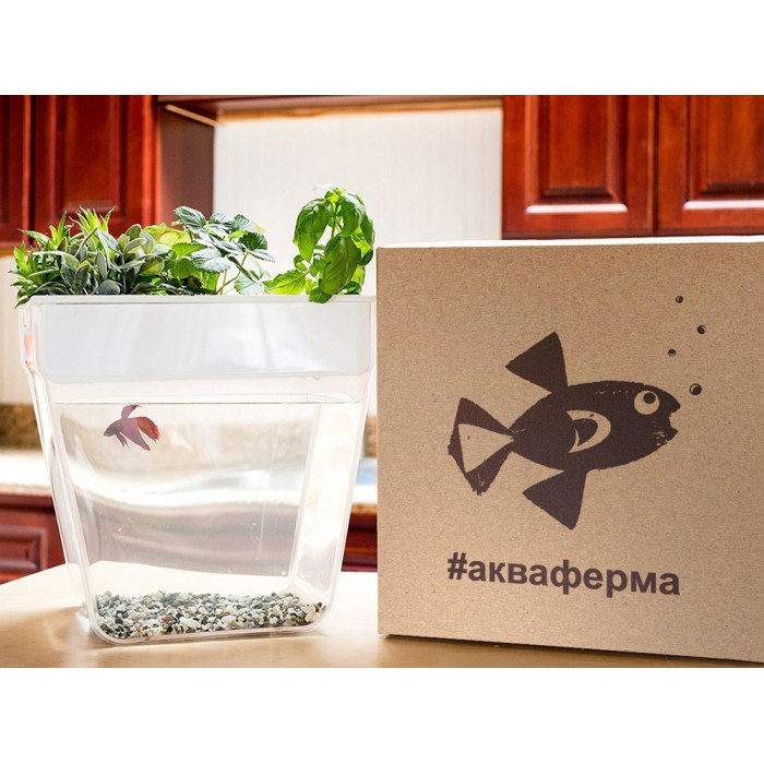 Набор для выращивания растений и ухода за рыбкой Акваферма