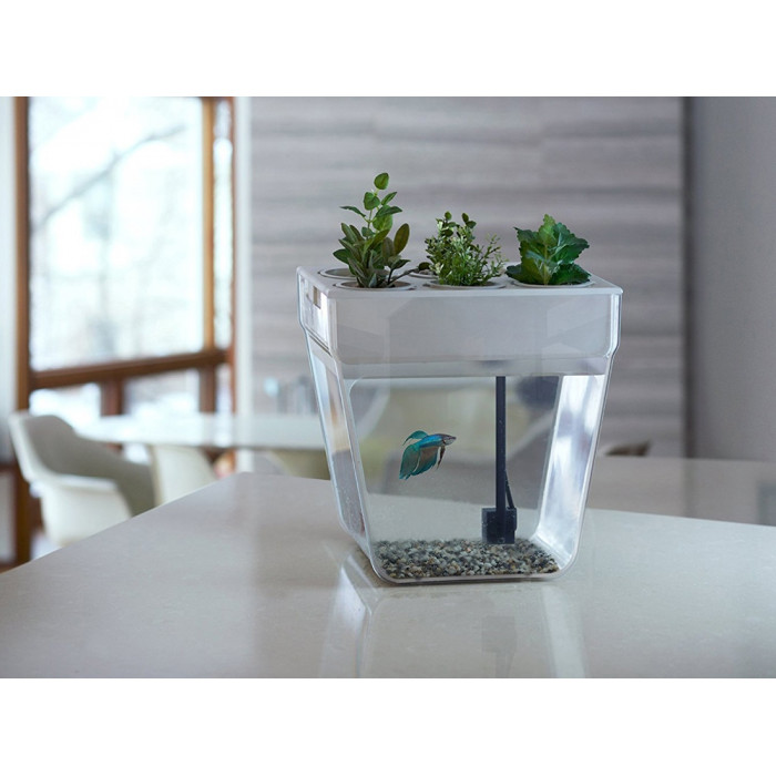 Набор для выращивания растений и ухода за рыбкой Акваферма