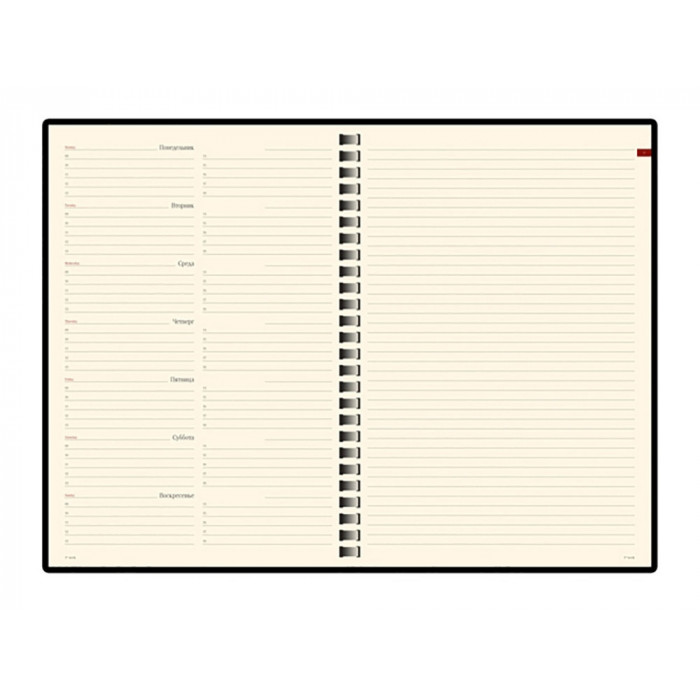 Еженедельник недатированный А5 Concept, серый