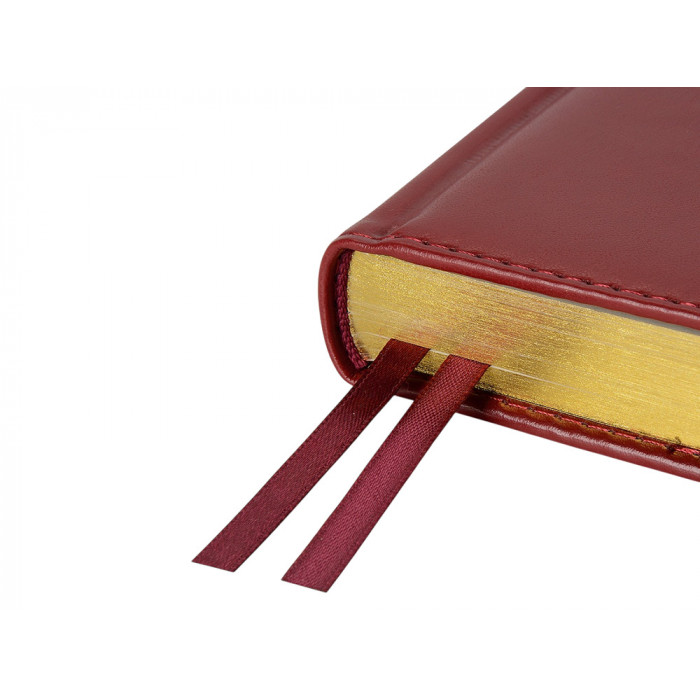 Ежедневник недатированный А5 Parliament, бордовый