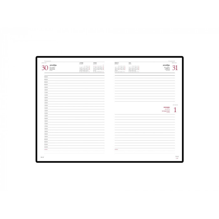 Ежедневник А5 датированный Leader 2026, красный