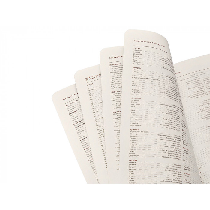 Ежедневник недатированный А5 Parliament, синий