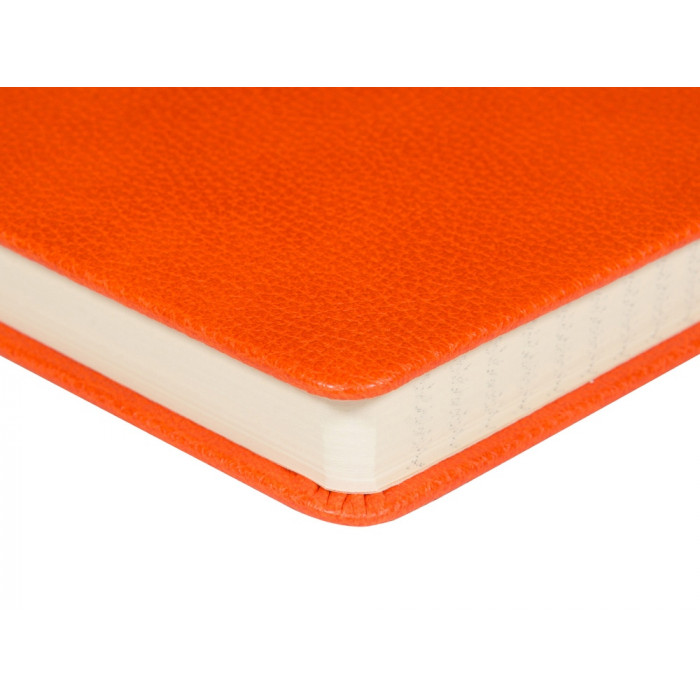 Ежедневник недатированный А5 Loft, оранжевый