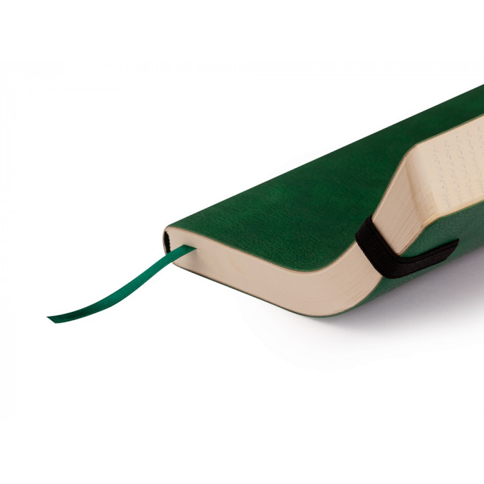 Ежедневник недатированный А5 Vincent new, зеленый