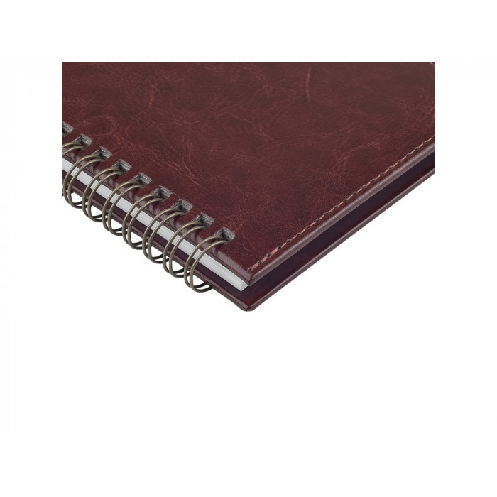 Планинг ГР. датированный Sidney Nebraska 2026, коричневый