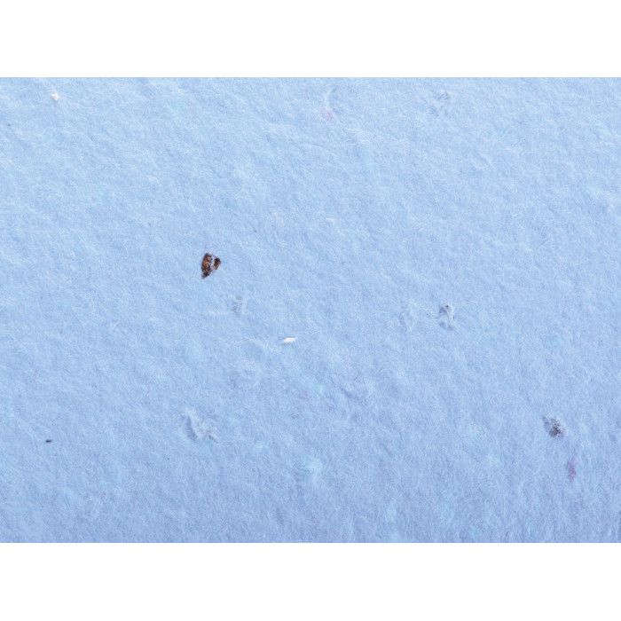 Живой блокнот с семенами цветов, А6, синий