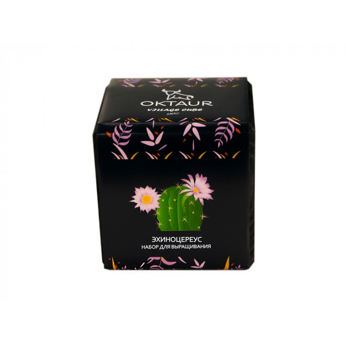 Набор для выращивания Small village cube Эхиноцереус