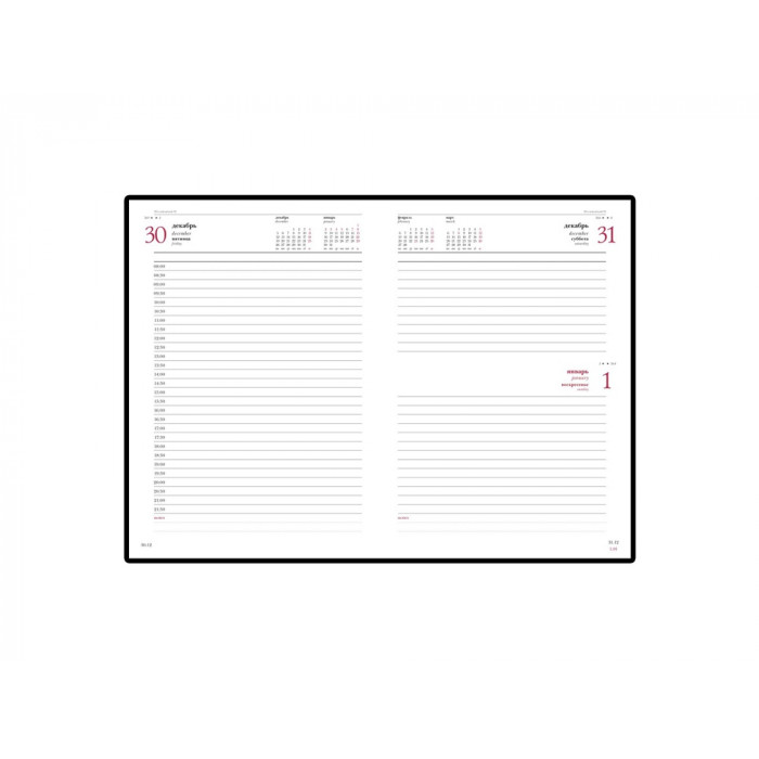 Ежедневник датированный А5 Ideal New 2026, черный