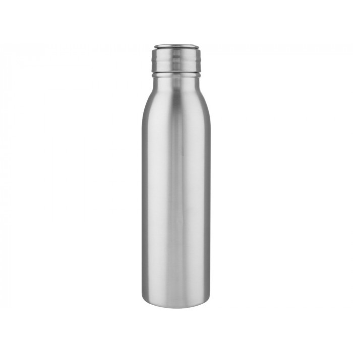 Harper, спортивная бутылка из нержавеющей стали объемом 700 мл с металлической петлей, серебристый