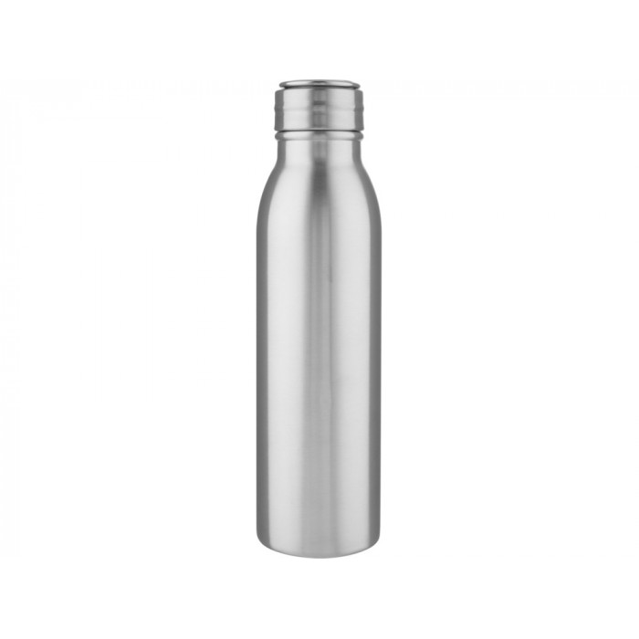 Бутылка для воды Harper из нержавеющей стали, с металлической петлей, 700 мл - Серебристый