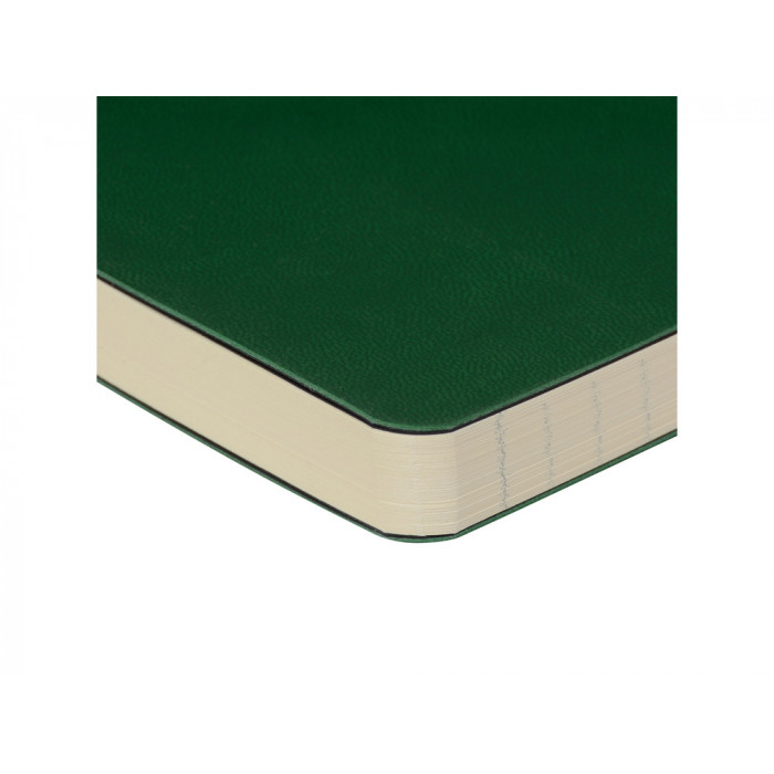 Ежедневник недатированный B5 Megapolis Flex (зеленый)