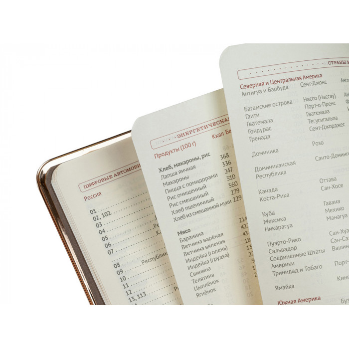 Ежедневник А5 недатированный Chelsea, серый (золотистый кант и срез)