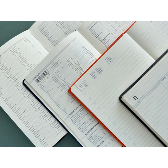 Ежедневник недатированный А5 Loft, серый