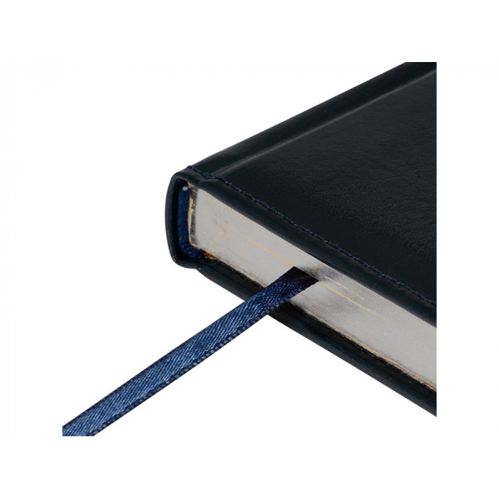 Ежедневник недатированный А5+ Persona (синий)