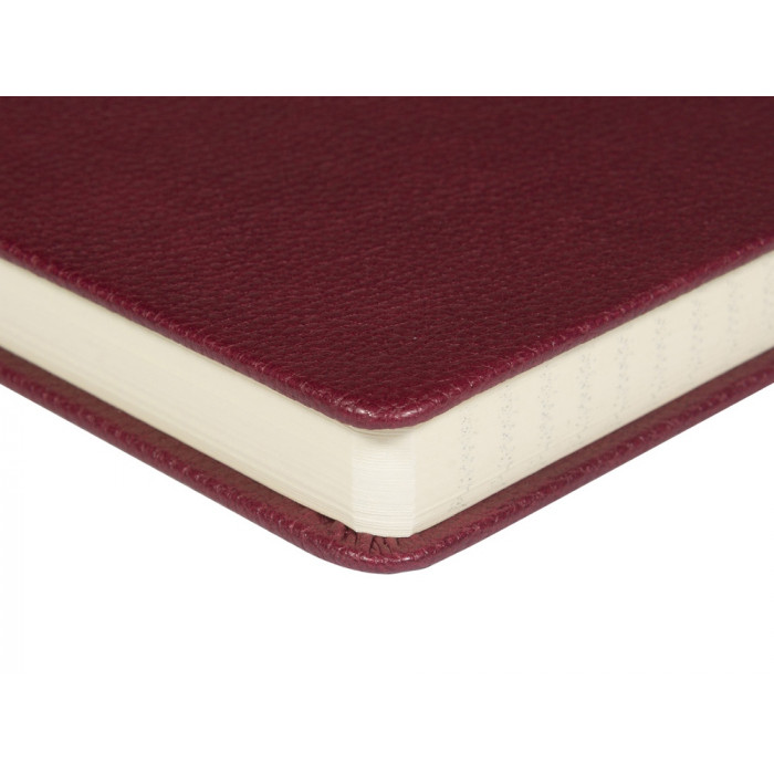 Ежедневник недатированный А5 Loft, бордовый