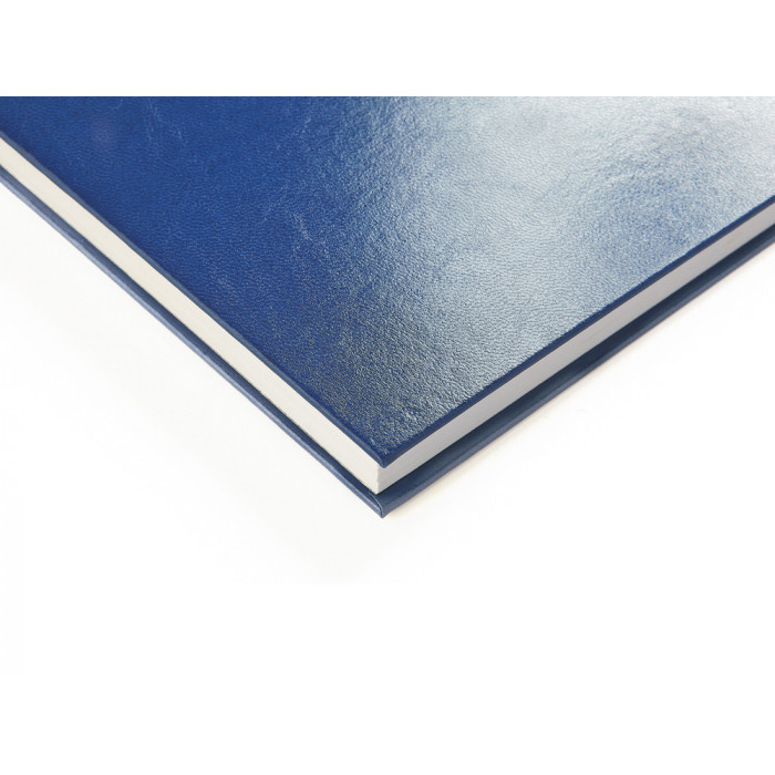 Ежедневник недатированный А5 Ideal New, синий