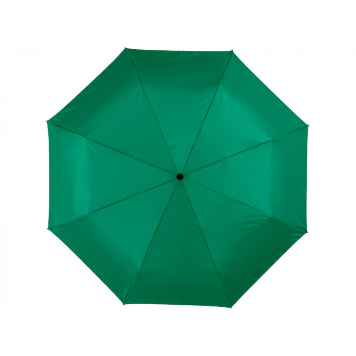 Зонт Alex трехсекционный автоматический 21,5, зеленый (Р)