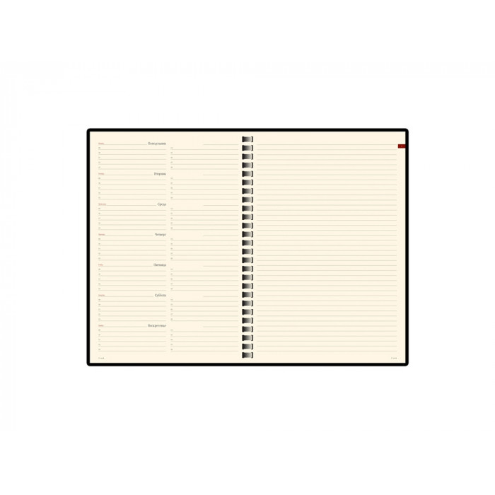 Еженедельник недатированный А5 Concept, оранжевый