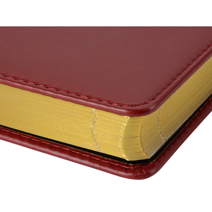 Ежедневник недатированный А5 Parliament, бордовый