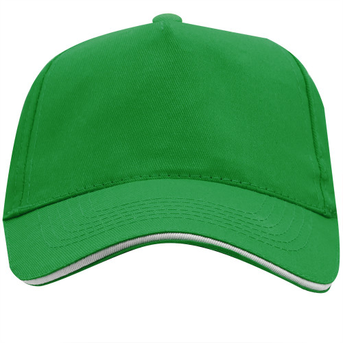 Папоротниковый